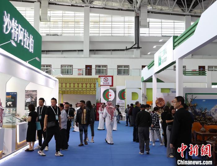 奔驰宝马游戏电脑版